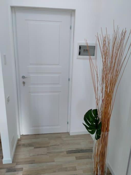 Suite Room Malpensa B&B Cardano Al Campo Exterior photo